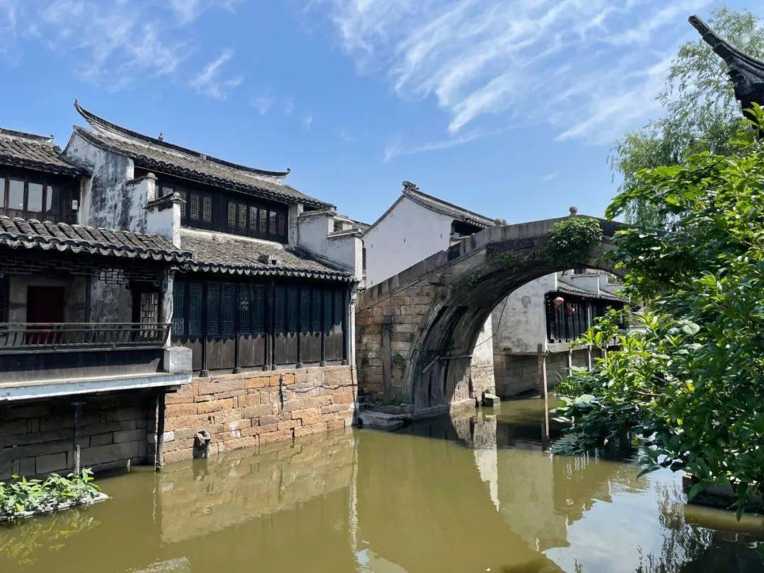 迷失在荒野
